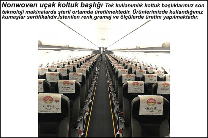 oto başlık